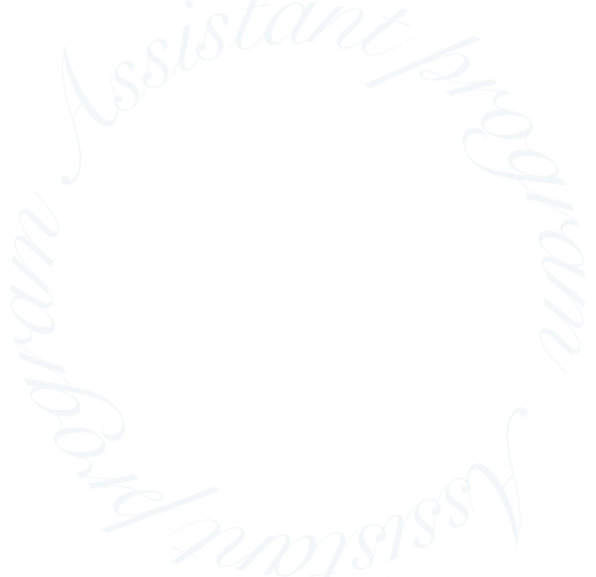 Assistant Program